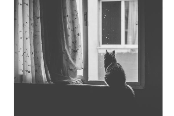 A Glimpse into the Life of an Introvert
